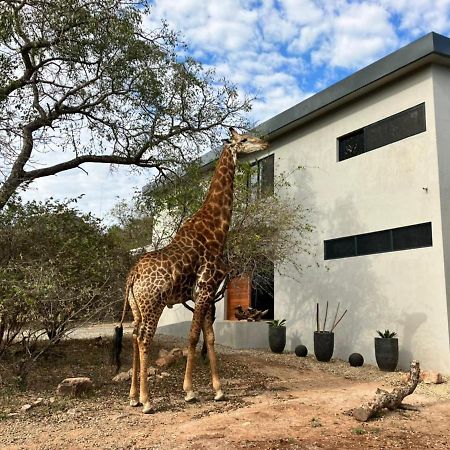 Birdsong Kruger Villa Marloth Park Bagian luar foto