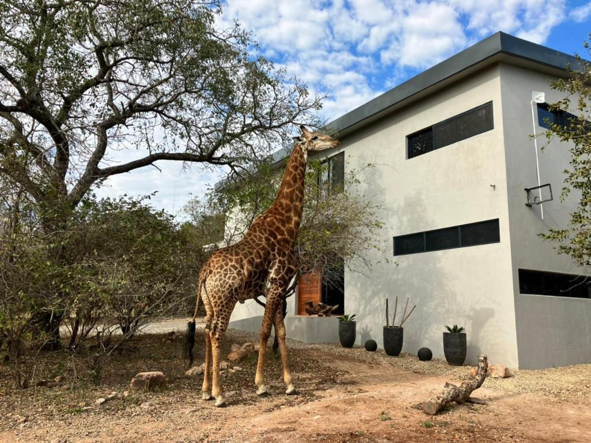 Birdsong Kruger Villa Marloth Park Bagian luar foto